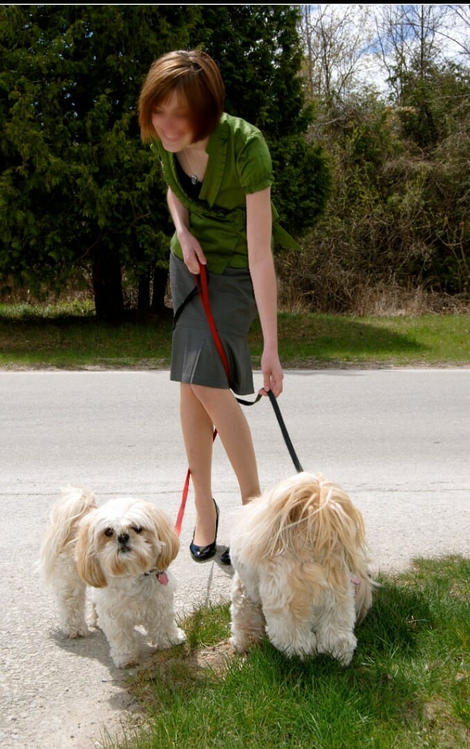 woman with 2 mix poodle breed dogs